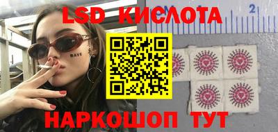 амф Гусев