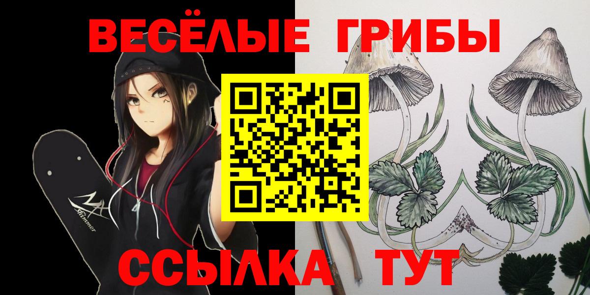Калининград  Галлюциногенные грибы мицелий  Вход с VPN 